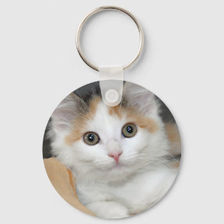 Mediumhair Calico Shelter Kitten Chaveiro