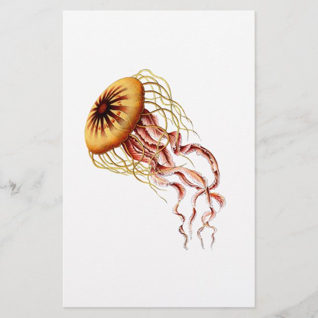 medusa (Frente)