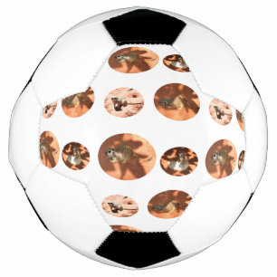 Meerkat Ball Shape, bola de futebol