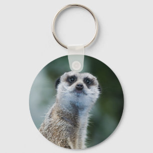 Meerkat Chaveiro