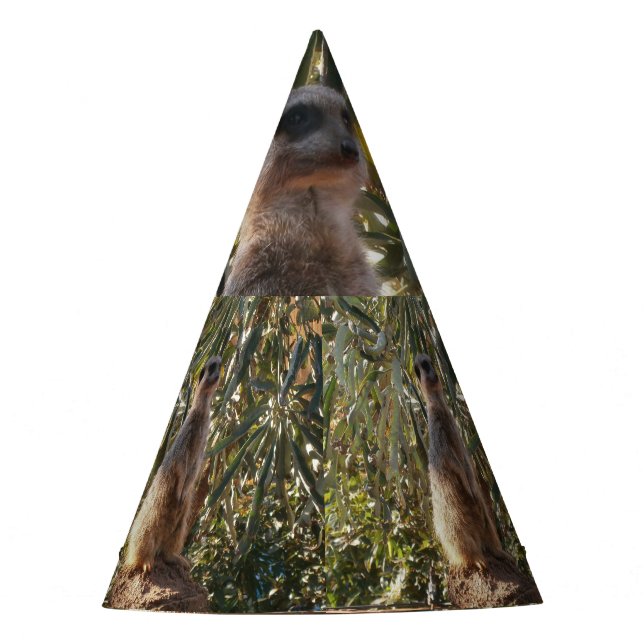 Meerkat Em Guarda, Chapéu Fpartidário (Frente)