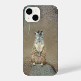 Meerkat iPhone Case