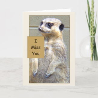 Meerkat mim cartão da senhorita Você