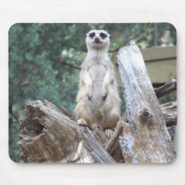 Meerkat Mousepad