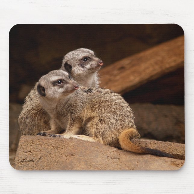 Meerkat Mousepad (Frente)