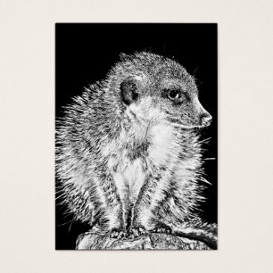 Meerkat, preto e branco