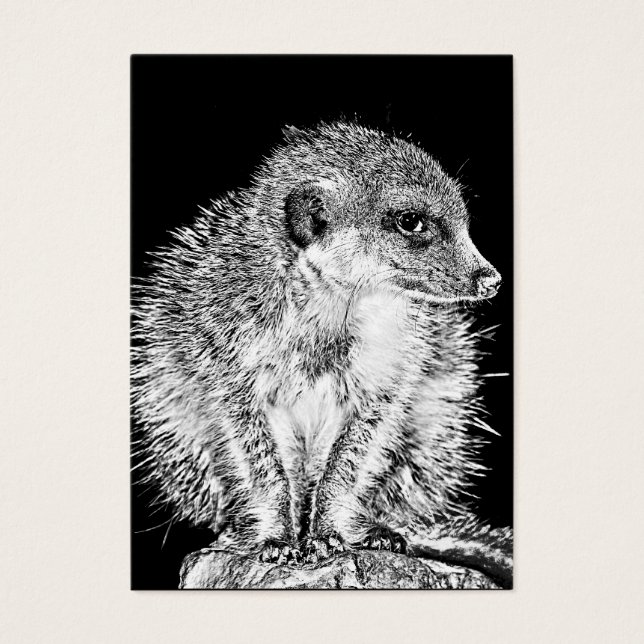 Meerkat, preto e branco (Frente)