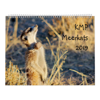 Meerkats de KMP - calendário 2019