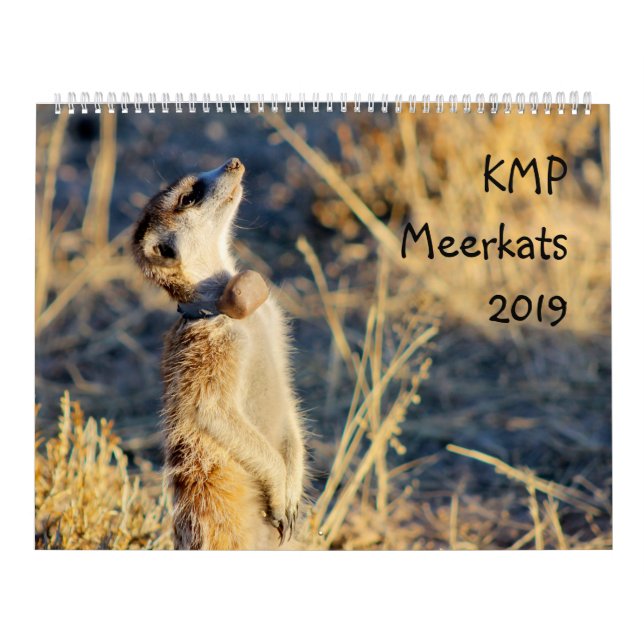Meerkats de KMP - calendário 2019 (Capa)
