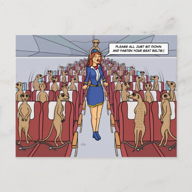 Meerkats em um cartão plano (Frente)