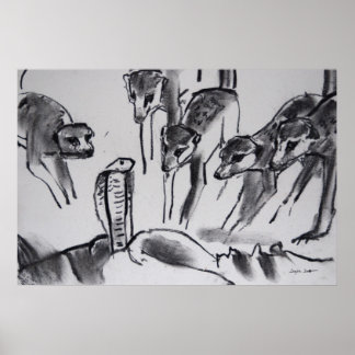 Meerkats mobbing Cobra - Impressão de arte