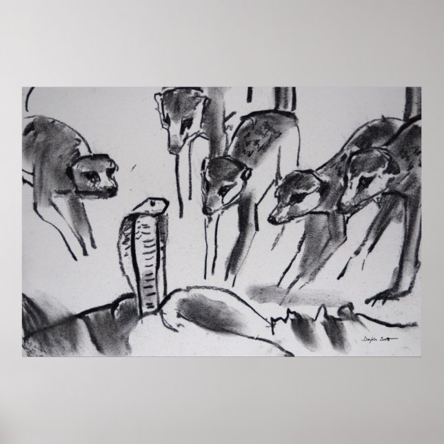 Meerkats mobbing Cobra - Impressão de arte (Frente)