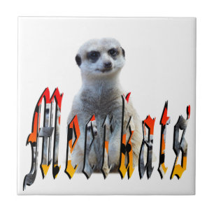 "Meerkats: Orgulhoso Atrás do Nome"