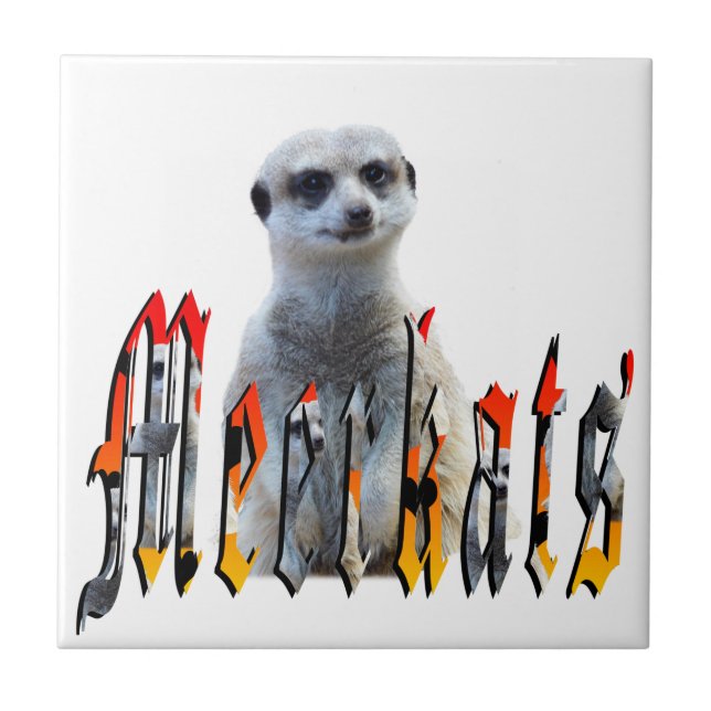 "Meerkats: Orgulhoso Atrás do Nome" (Frente)