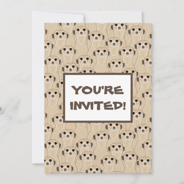 Meerkats - Suricata (Frente)