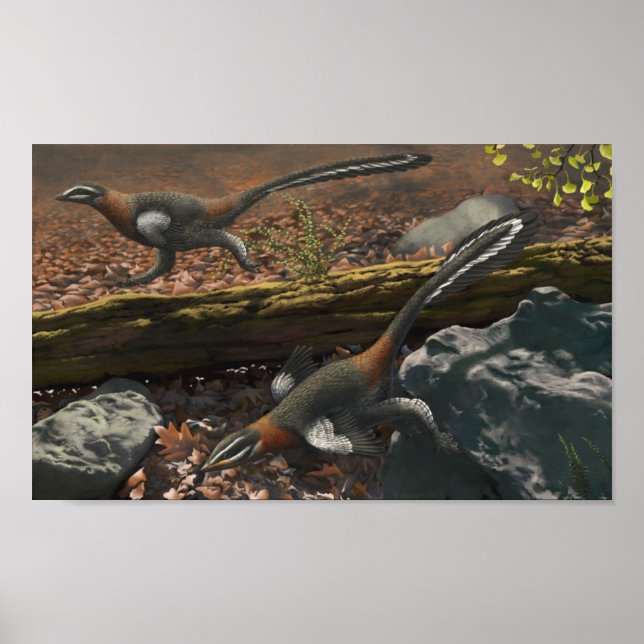 Mei Long Impressão (Frente)