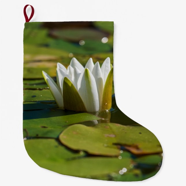 Meia De Natal Grande Água Lily Blossom (Frente)