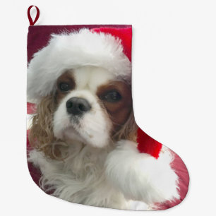 Meia De Natal Grande Balcão de Natal Blenheim Cavalier