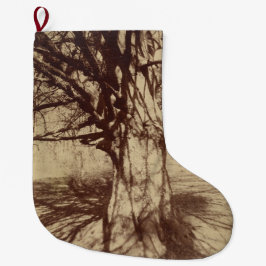 Meia De Natal Grande Beech Tree (por Eugène Atget)