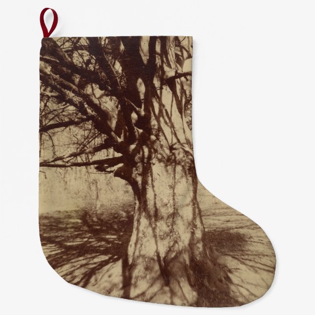 Meia De Natal Grande Beech Tree (por Eugène Atget) (Frente)