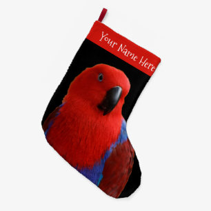 Meia De Natal Grande Belo "Senhora em Vermelho" Eclectus Parrot
