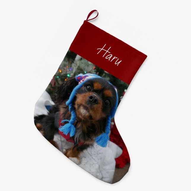 Meia De Natal Grande Black and Tan Cavalier King Charles Spaniel (Frente (Pendurada))