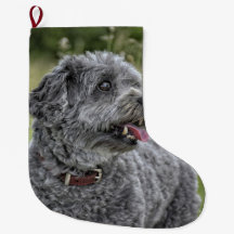 Cachorro Cortado Terrier