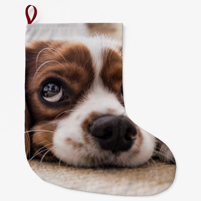 Meia De Natal Grande Cachorro Panelado De Olhos Tristes (Frente)