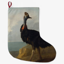 Cassowary (Ave Australiana) (Arte Animal Selvagem)