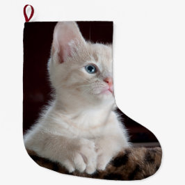 Meia De Natal Grande Cristóvão Branco Vulnerável