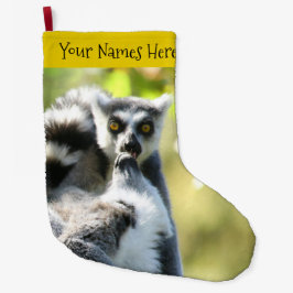 Meia De Natal Grande Engraçados lêmures surpreendidos de Madagáscar