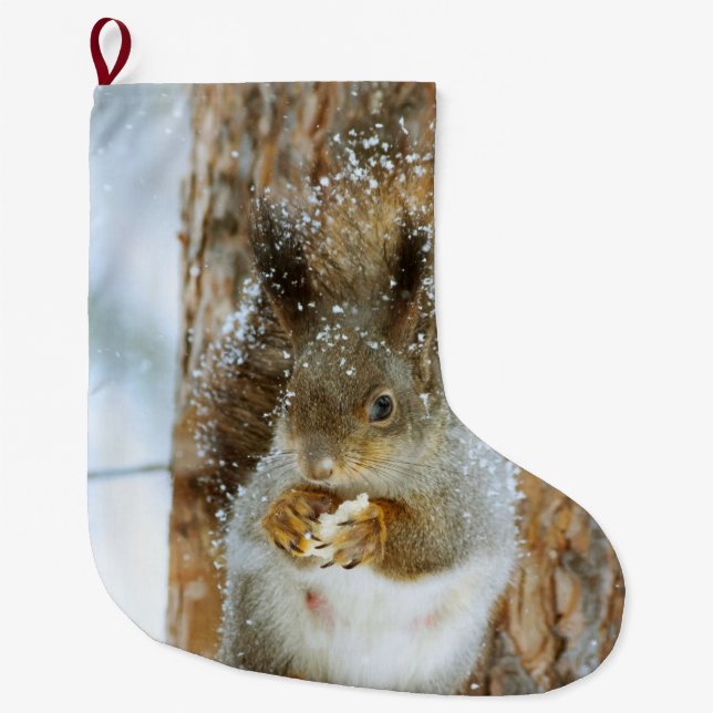 Meia De Natal Grande Esquilo bonito numa paisagem de inverno (Frente)