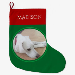 Meia De Natal Grande Foto de Cachorro Branco Pacífico com Colar Vermelh