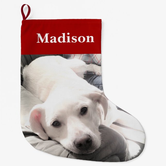 Meia De Natal Grande Foto de Cachorro Cachorro Vermelho (Frente)