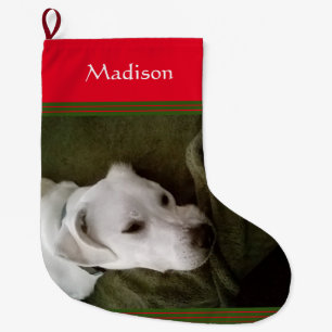 Meia De Natal Grande Foto do Cachorro Labrador Branco e Bonito Mix Gran