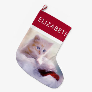 Meia De Natal Grande Fotografia bonito do gatinho do Natal