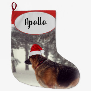 Meia De Natal Grande German shepherd adorável no chapéu do papai noel