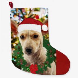 Meia De Natal Grande Joy para o Puppy