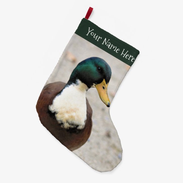 Meia De Natal Grande Mallard Duclair Doméstico Engraçado Pato Ímpar (Frente (Pendurada))