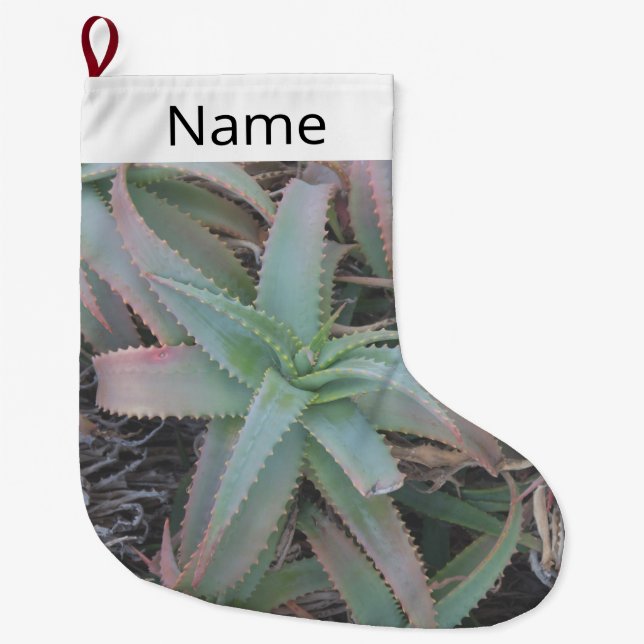 Meia De Natal Grande Nevada suculenta (Frente)