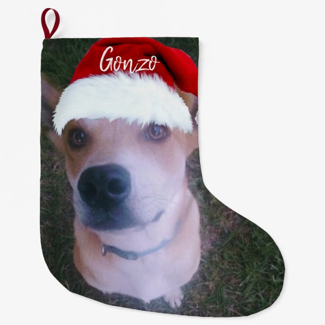 Meia De Natal Grande Nome Personalizado da Foto de Natal do Cão (Frente)
