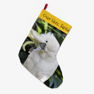 Meia De Natal Grande Papagaio Cacatua De Crista Sulfúrica Engraçado Ace