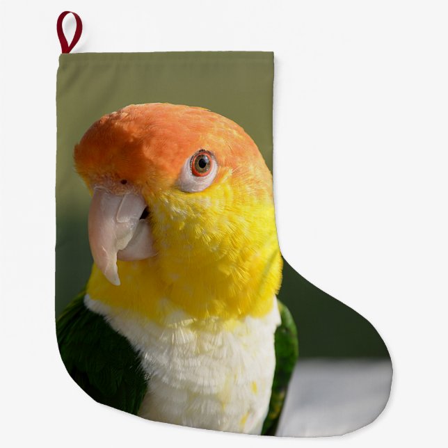 Meia De Natal Grande Papagaio inchado branco do Caique (Frente)