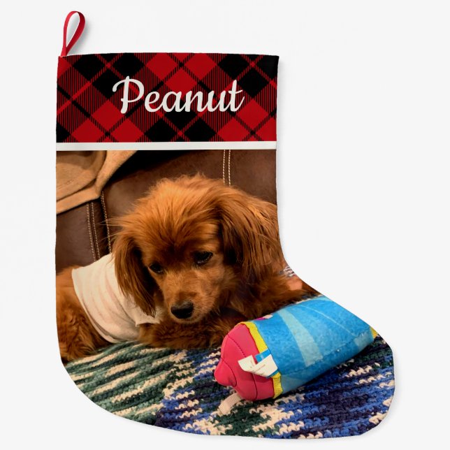 Meia De Natal Grande Pet Photo Red Plaid Reversible Personalized (Frente)