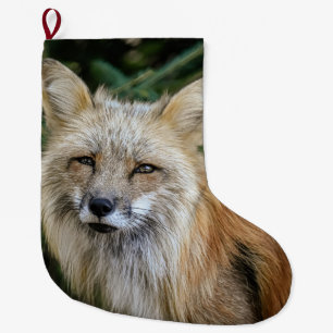 Meia De Natal Grande Raposa selvagem