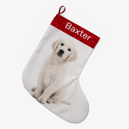 Meia De Natal Grande Recuperador de Ouros de Feriado de Pet Dog