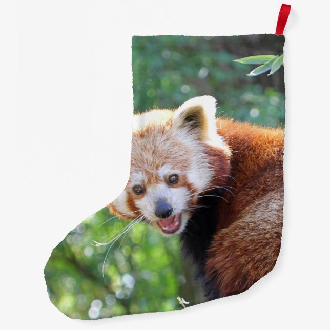 Meia De Natal Grande Red_Panda_2015_0306 (Verso)
