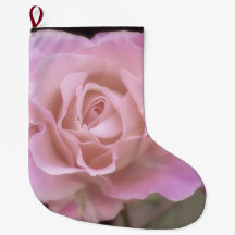 Rosa rosa magnífica