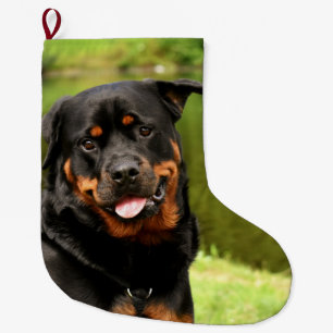 Meia De Natal Grande Rottweiler Feliz Natal Stocks