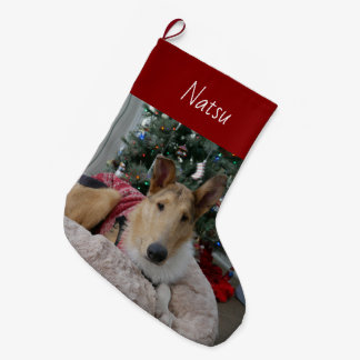 Meia De Natal Grande Smooth Collie Christmas Stocks